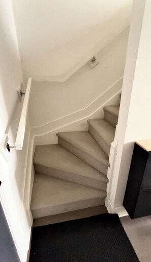 Un escalier dont les marches sont recouvertes de moquette, avec des murs blancs et un petit luminaire fixé au mur.
