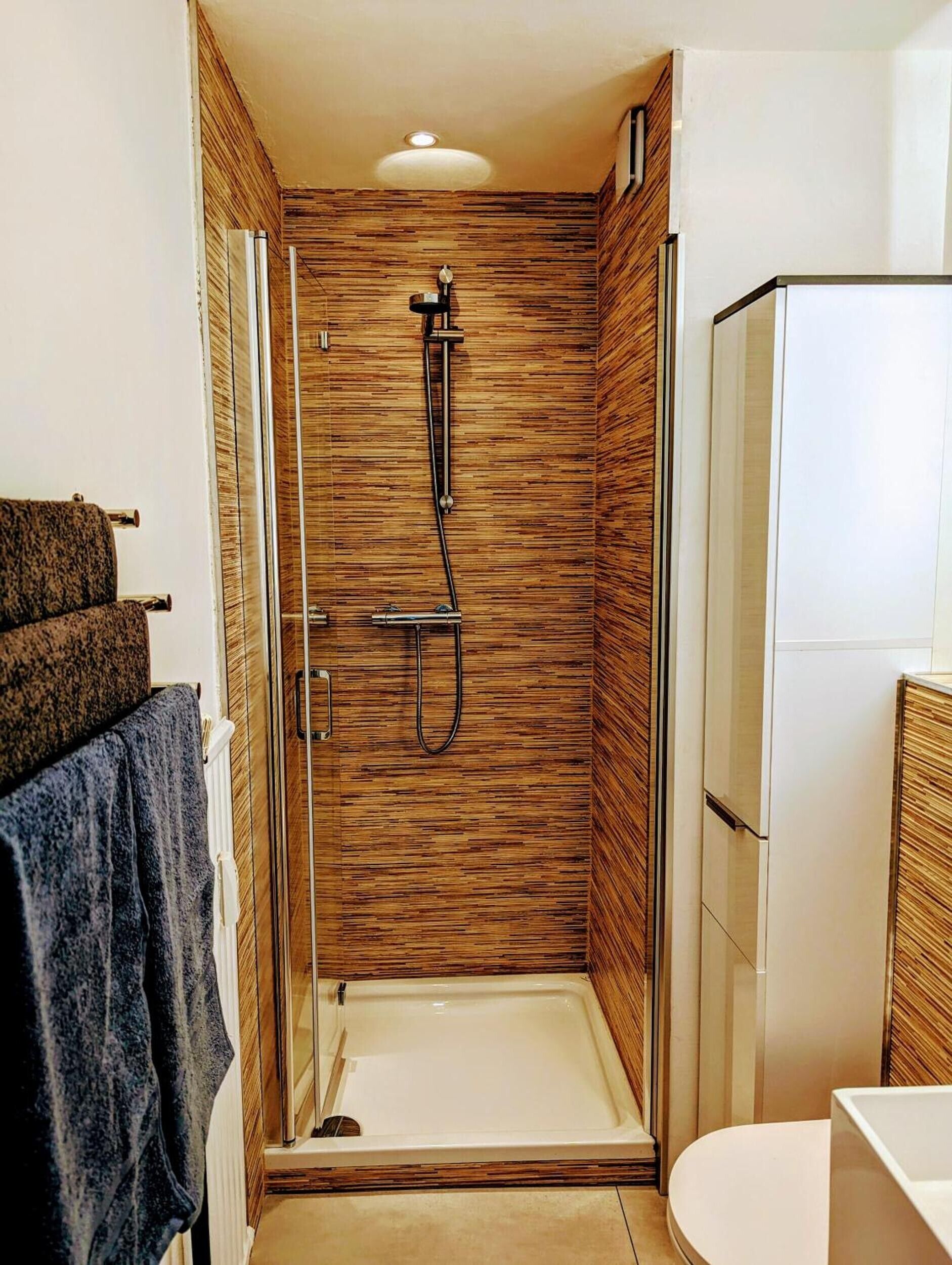 Dusche, Haartrockner, Handtücher