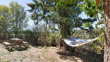 A picnic table and a hammock in a wooded area.