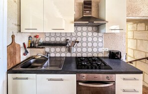 Una cocina con estufa a gas, pileta y campana extractora. Hay gabinetes, un especiero y una tostadora en la encimera.
