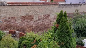 Un muro de ladrillo con un jardín delantero, que incluye diversas plantas y una estructura metálica.