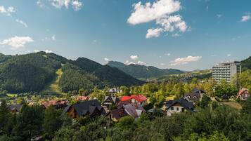 A residential area with houses, a mountain, and a modern building.