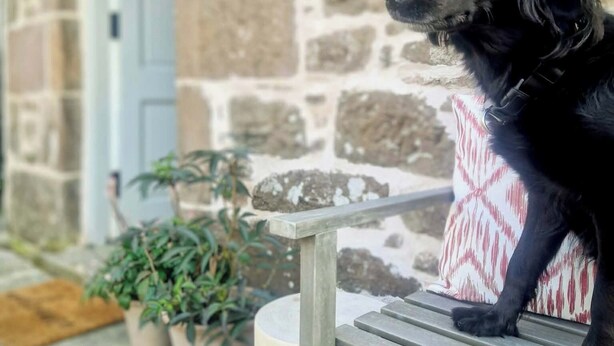 Un perro negro sentado en un banco frente a un edificio de piedra con un letrero que dice 'Sunnyside Cottage'.