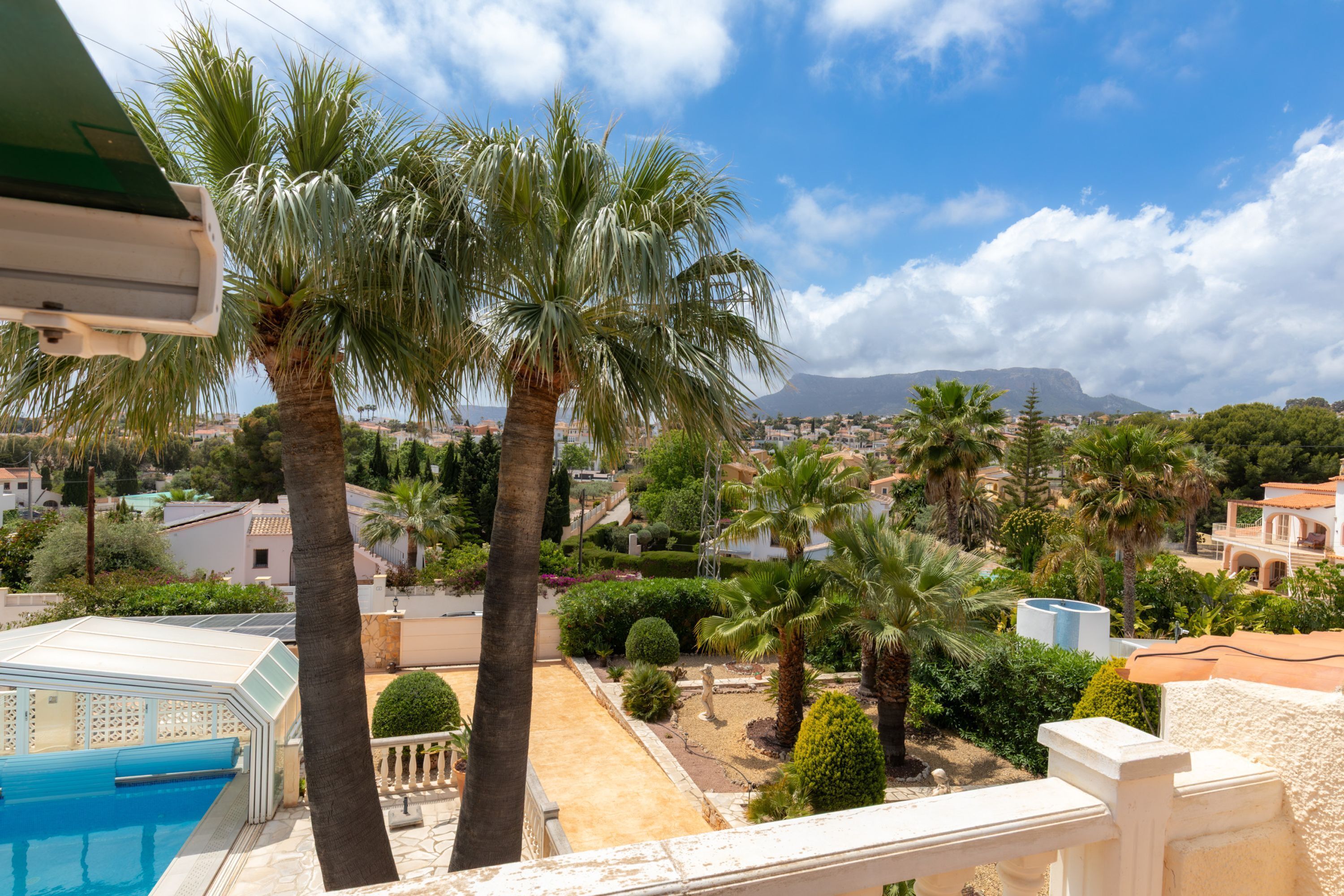 A poolside view with palm trees, a clear sky, and a distant mountain.