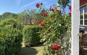 A garden with a variety of plants and a wooden fence. - Amazing home in Kalmar with WiFi (Kalmar)