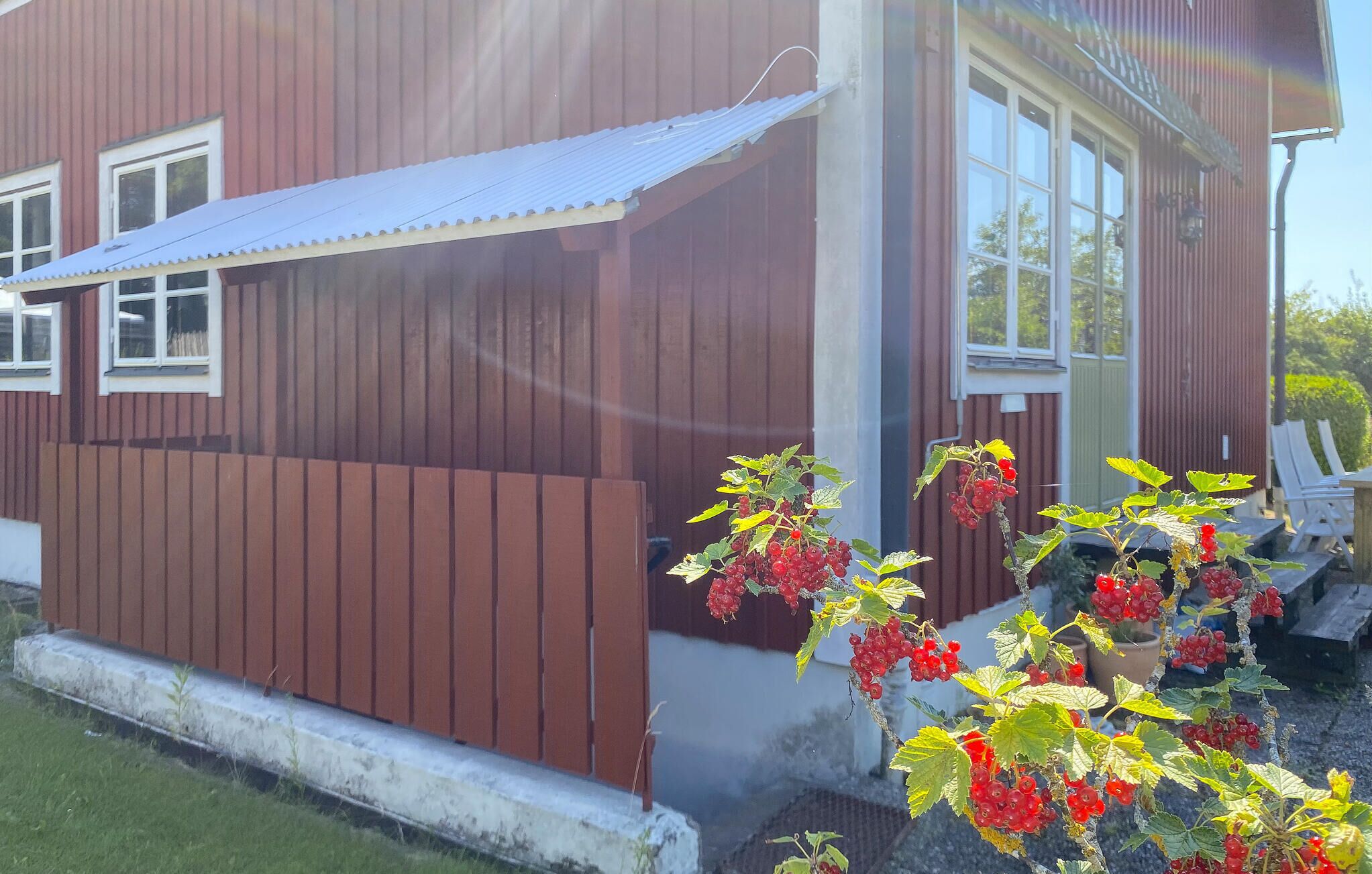 A wooden house with a metal roof, a window, and a small garden with red berries.