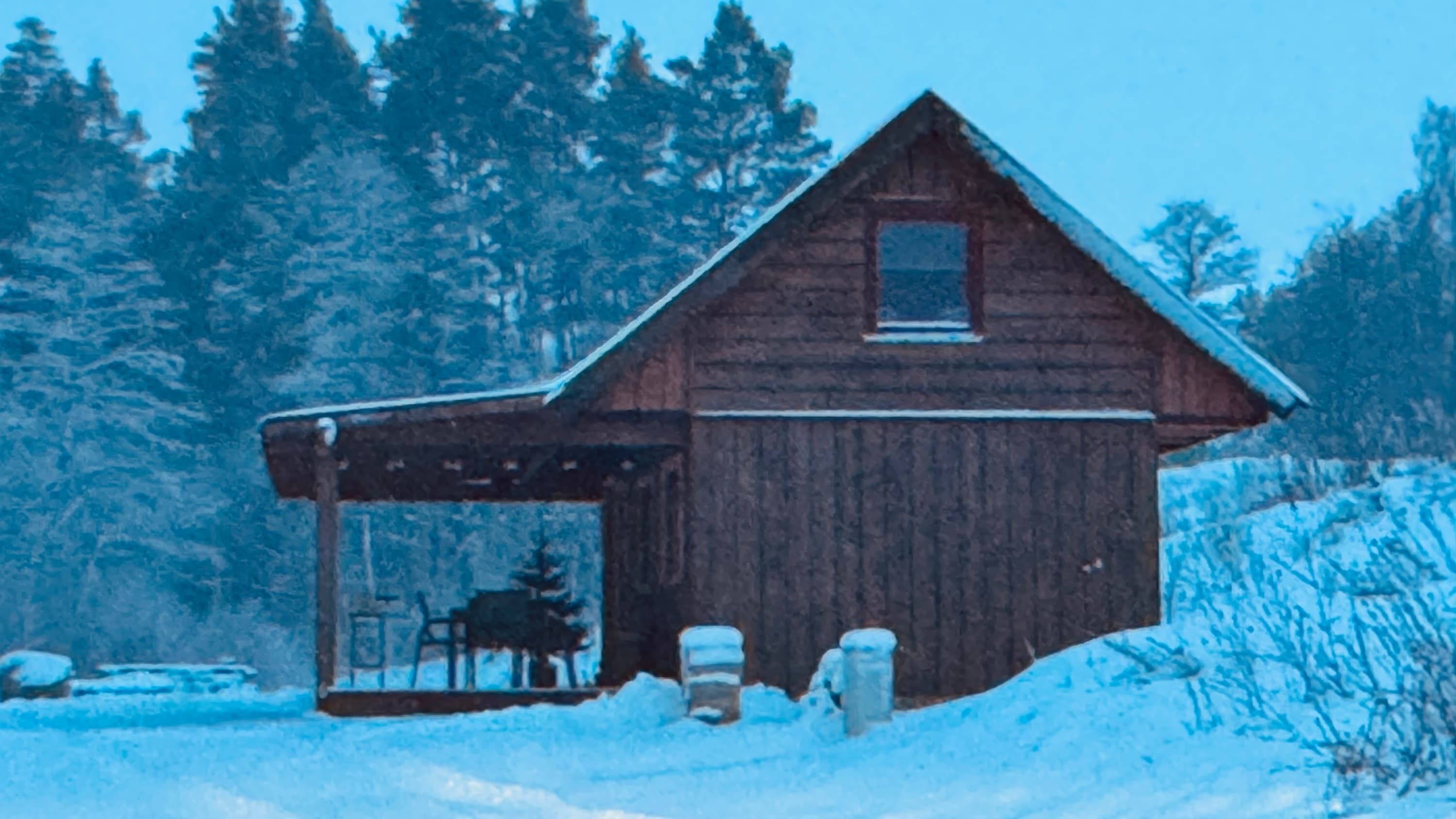 A wooden cabin with a covered porch, surrounded by snow and trees.