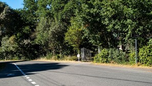 A road with a pedestrian crossing, surrounded by dense foliage and a metal gate. - Château de Roche – French Château Living near Toulouse (Pechbonnieu)