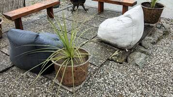 A lakeside setting with a wood-burning stove, benches, and potted plants.