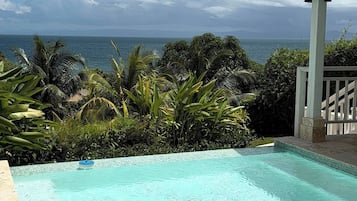 Villa, 3 Bedrooms, Smoking, Private Pool | Pool | Outdoor pool