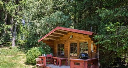 Fuchs und Has Feldberg – Apt 5 mit Balkon für 5 Personen, Neueröffnung Juli 2026