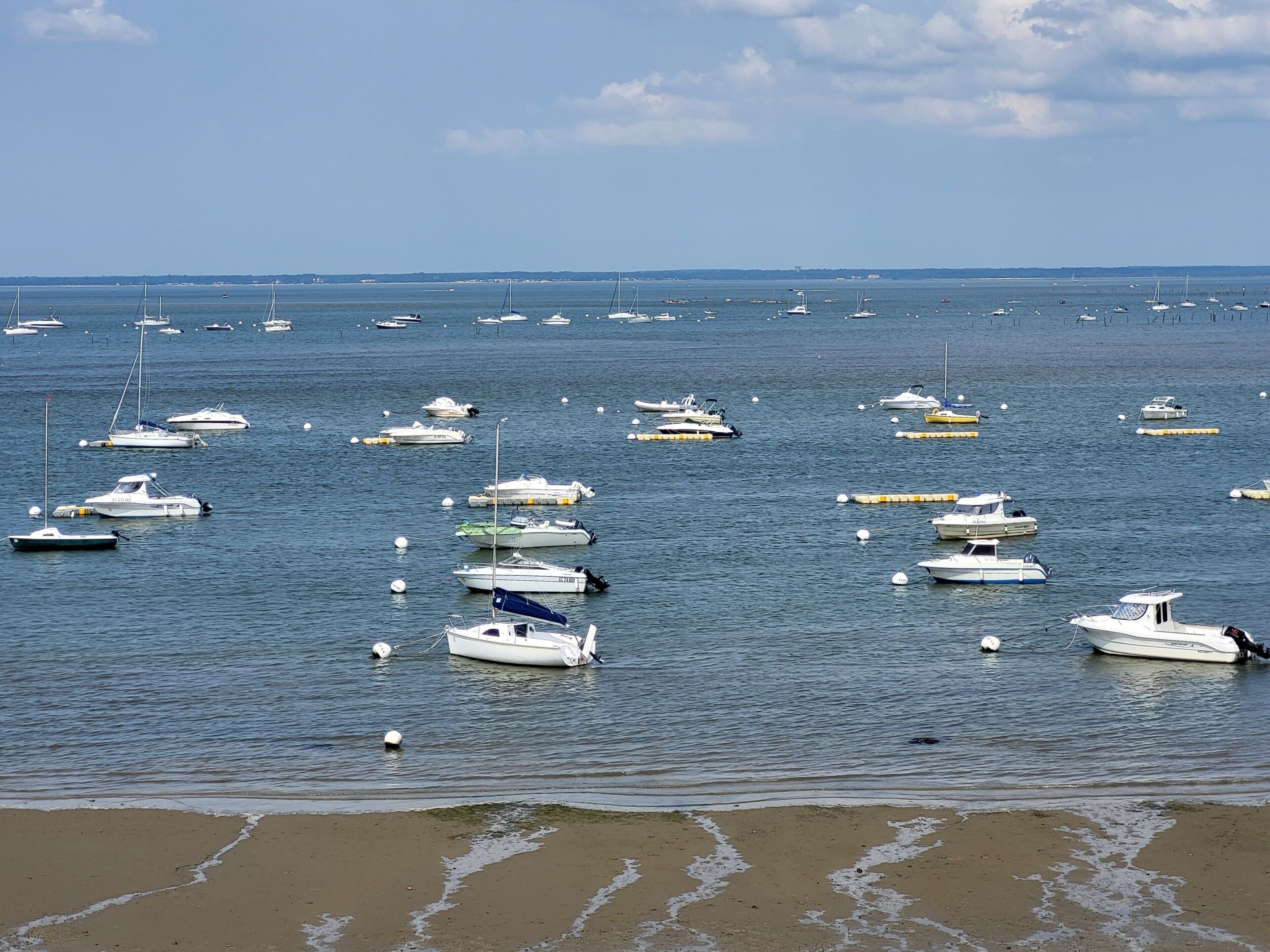 Una marina con varios barcos amarrados.