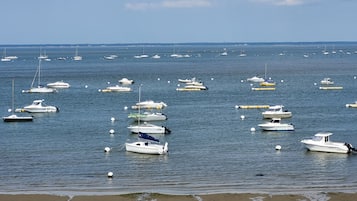 Una marina con varios barcos amarrados.