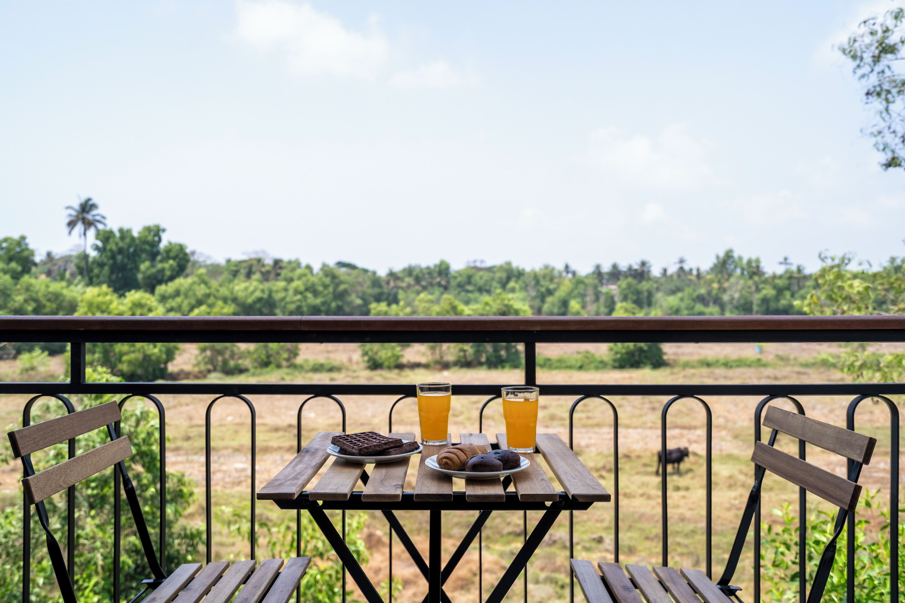 A wooden table with a plate of food and drinks, a bench, and a view of a green landscape.