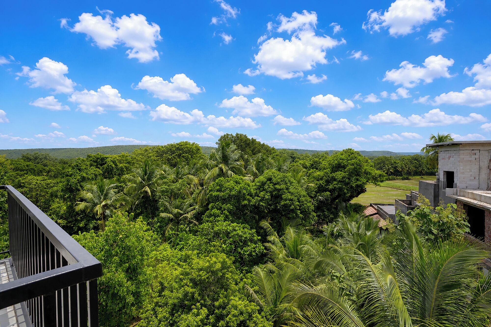 Uma vista de uma paisagem verdejante, com céu limpo e algumas nuvens.