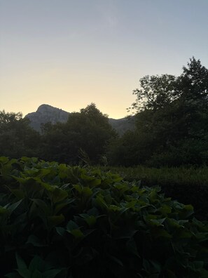 A natural landscape with a mountain in the background and dense foliage in the foreground. - Renovated chalet in Gère Belesten near Laruns with mountain views (Gere Belesten)