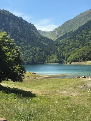 Un paisaje natural con un lago rodeado de colinas boscosas.