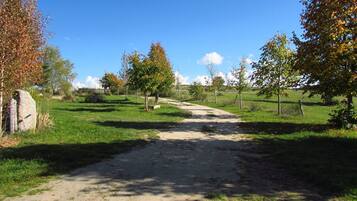 Un sentier de terre traverse une zone herbeuse parsemée d’arbres et bordée d’une construction en pierre.