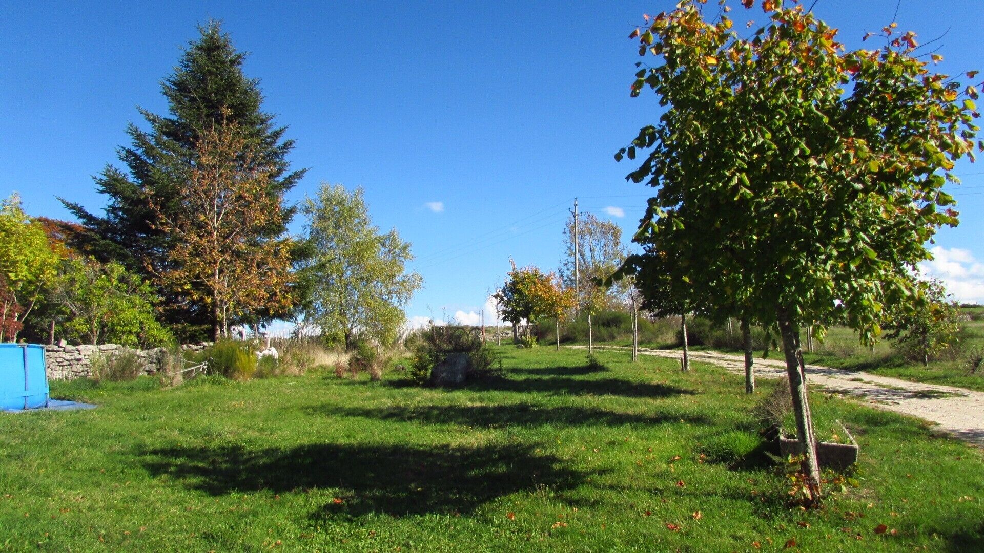 A grassy outdoor area with trees, a stone wall, and a dirt path.