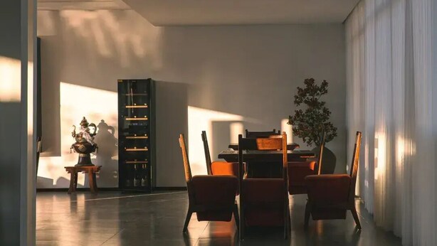Un comedor moderno con una mesa, sillas y una planta decorativa.