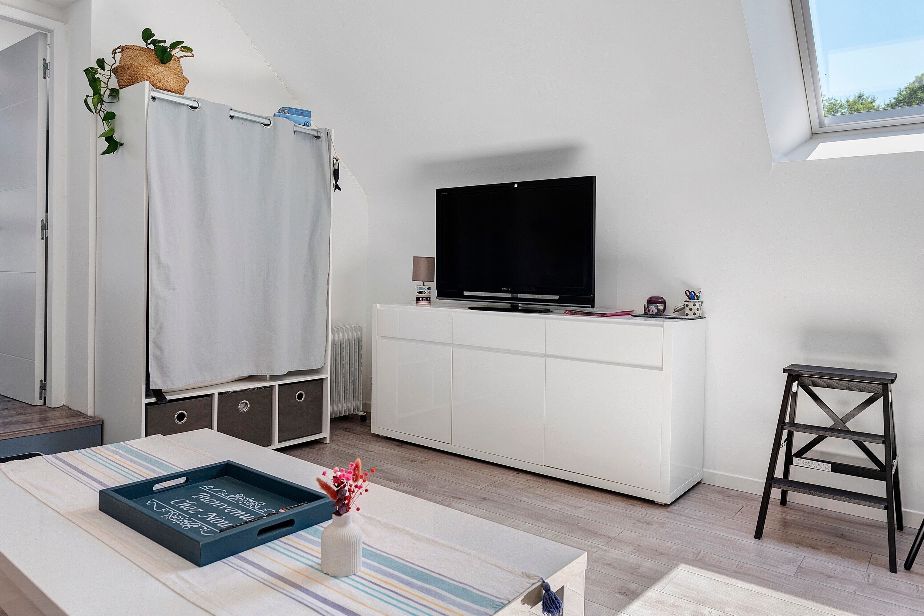 TV