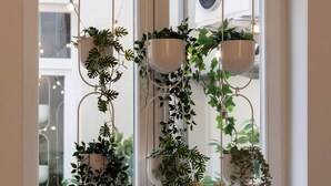 A room with a large window, two hanging planters with various plants, and a visible air conditioning unit. - La Notre Dame du Sommeil (Bruxelles)