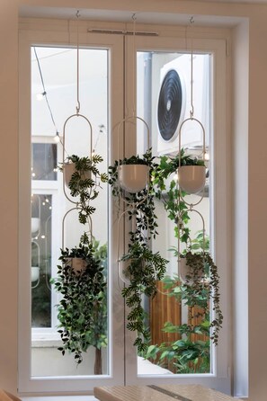 A room with a large window, two hanging planters with various plants, and a visible air conditioning unit.