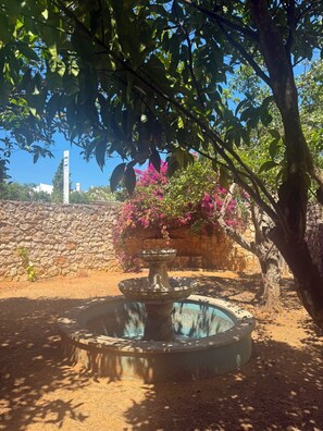 A fountain with a stone basin, surrounded by trees and a stone wall. - SEAS THE DAY (Luz)