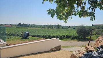 Terrain de l’hébergement