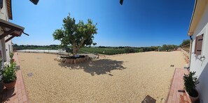 A gravel-covered outdoor area with a tree and a white building. - 'Vigneto' Apartment with Shared Terrace, Wi-Fi and Air Conditioning (Pressenga)