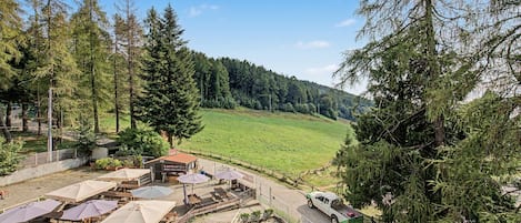 Un restaurant doté d’une terrasse offrant une vue sur une colline boisée.