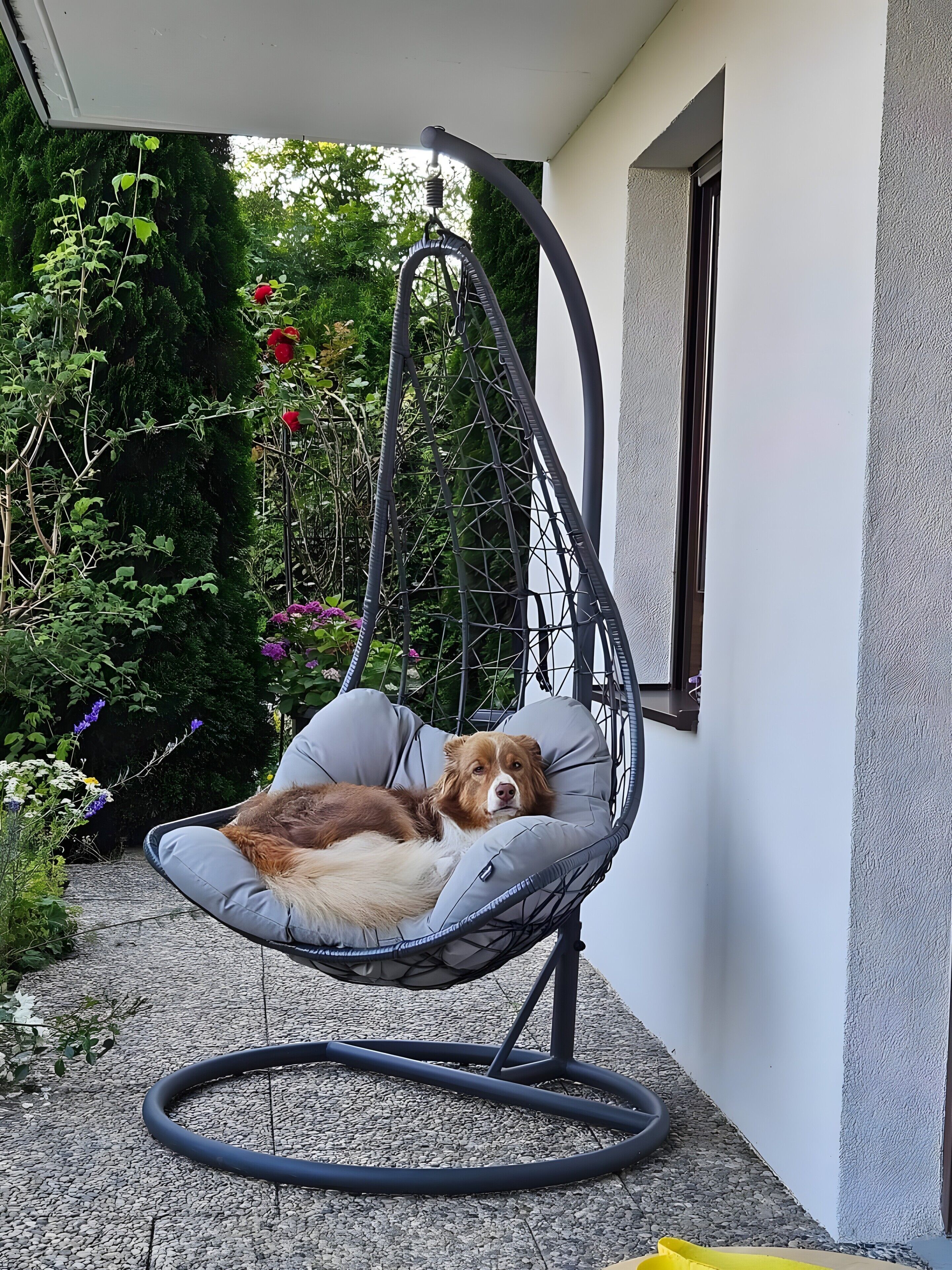 Una silla colgante con cojín, un perro descansando en ella, y un jardín con diversas plantas y flores.