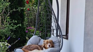 Una silla colgante con cojín, un perro descansando en ella, y un jardín con diversas plantas y flores.