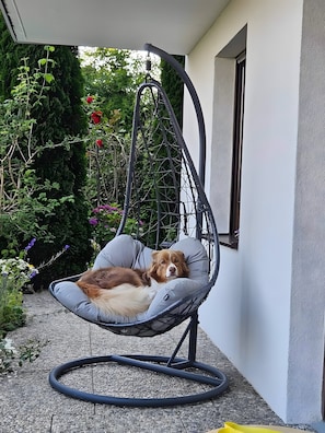 A hanging chair with a cushion, a dog resting on it, and a garden with various plants and flowers. - 5-Star Holiday Apartment Fernblick in the Bavarian Forest – 110 m² with Fenced Garden (Thurmansbang)