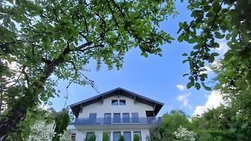 Eksteriør