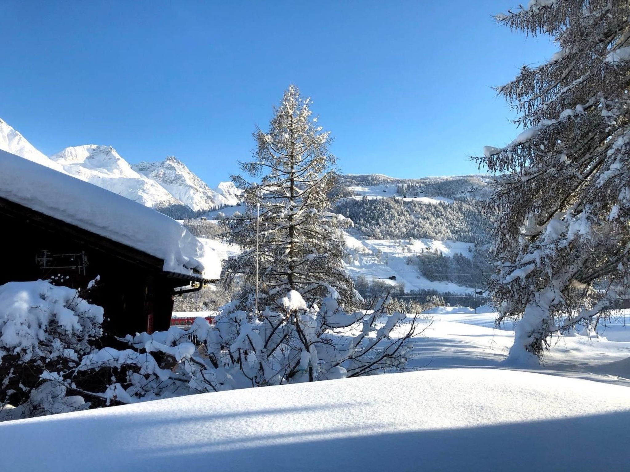 Paisaje nevado con una montaña al fondo, un árbol cubierto de nieve y un edificio parcialmente oculto por la nieve.