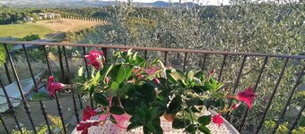 SECLUDED BARN nestled in the vineyards. Private garden and breathtaking views.