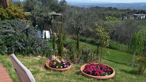 Ein Garten mit Rasen, Blumentöpfen und einem Stuhl.