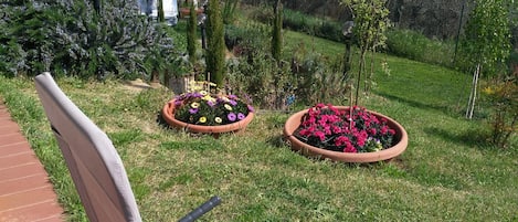 A garden with a lawn, potted plants, and a chair.