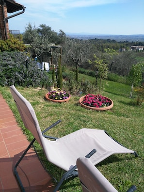 Ein Garten mit Rasen, Blumentöpfen und einem Stuhl.