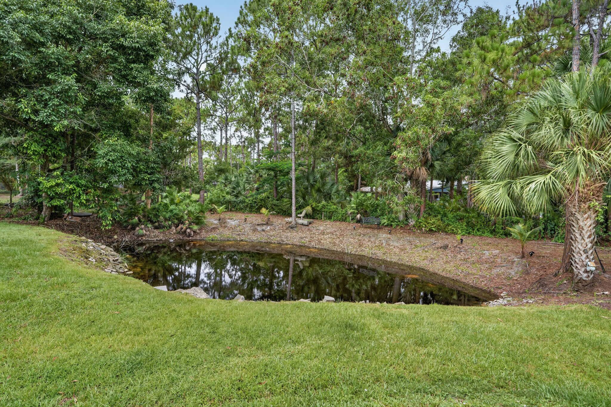 A pond with a bridge, surrounded by lush greenery and trees.