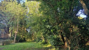 A pathway flanked by dense foliage and a wooden fence. - Muntjac Lodge dog Friendly nr Anderby Creek (Alford)