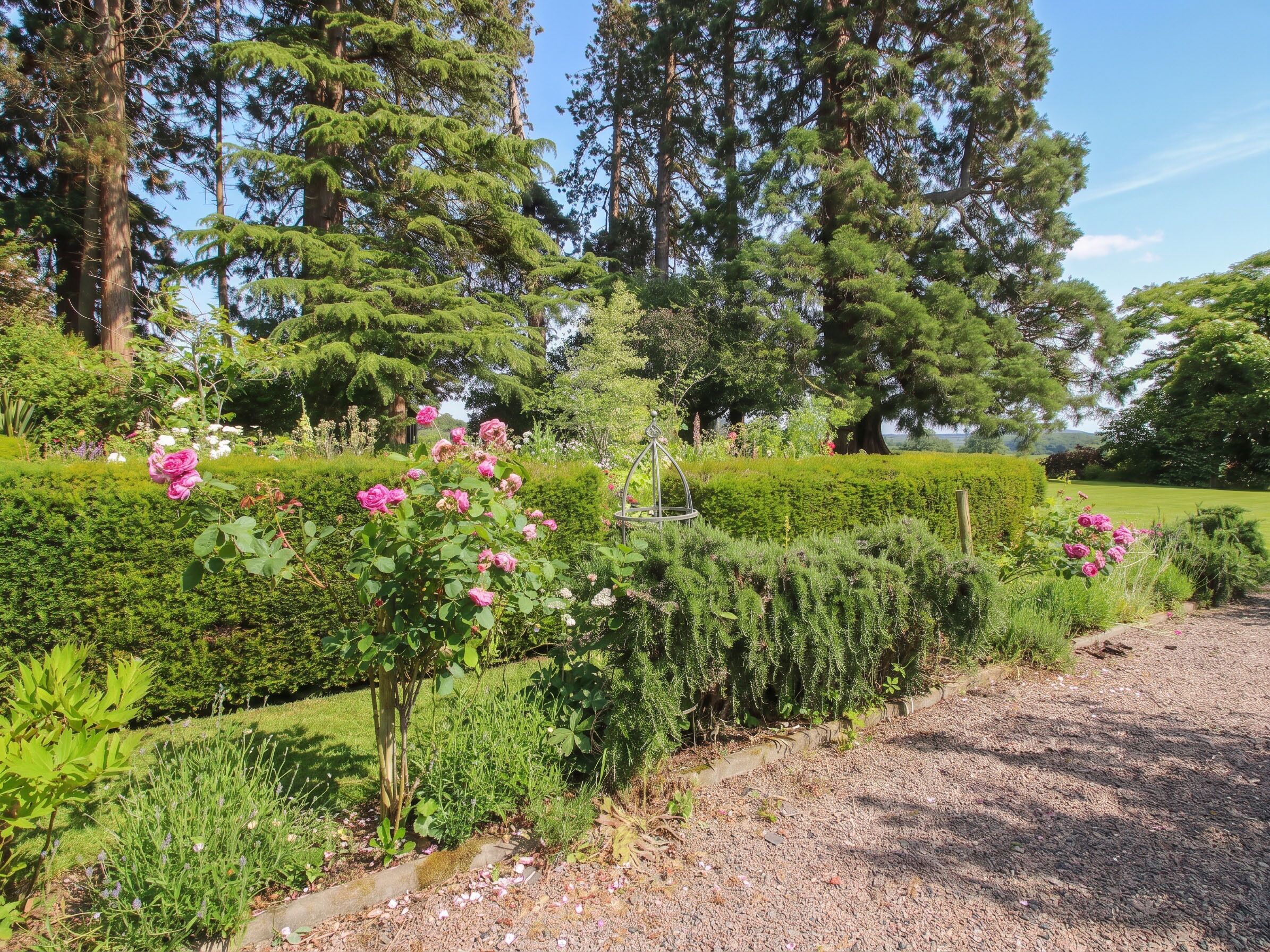 A garden with a variety of plants and flowers, including roses, and a hedge in the background.