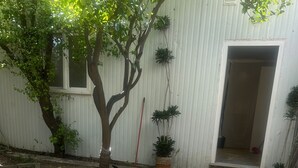 A residential outdoor area with a tree, a potted plant, a concrete pathway, and a blue barrel. - A haven in the heart of Lisbon—just 4 minutes from the Metro. Double and quadruple rooms. (Lisboa)