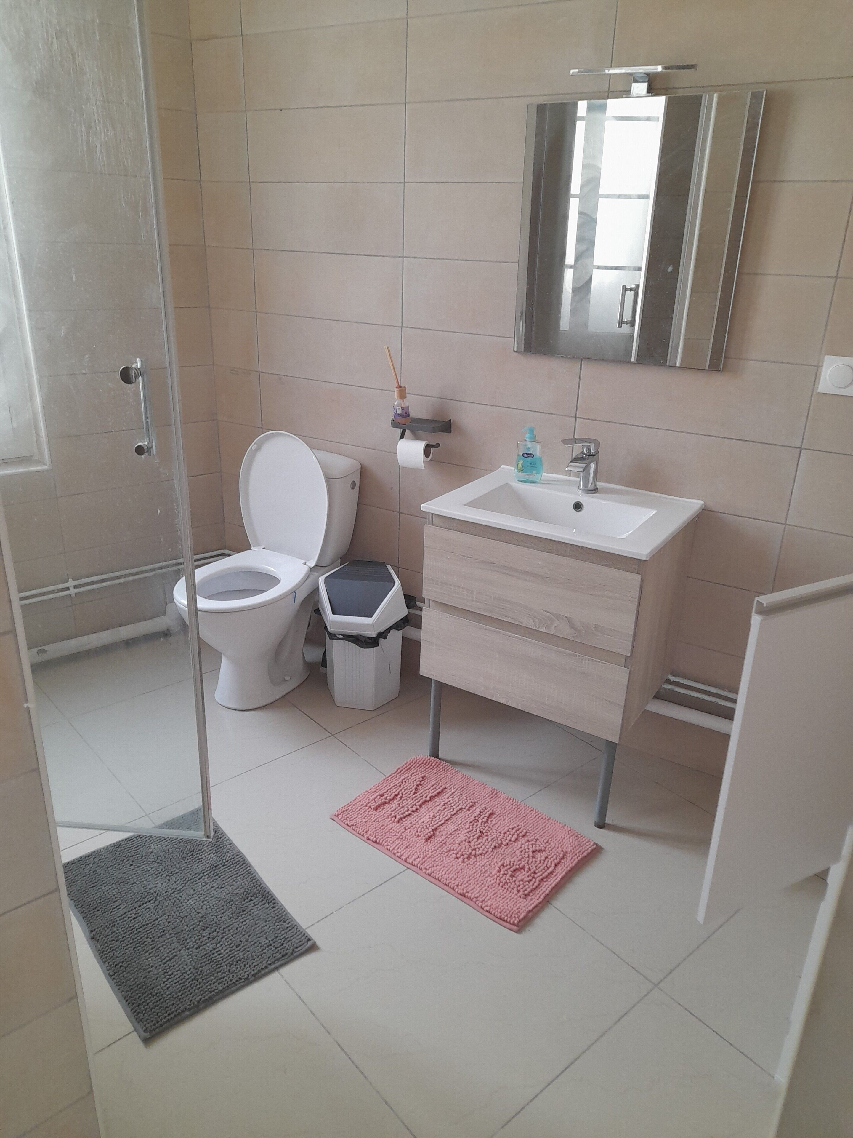 Een haardroger, handdoeken, zeep, toiletpapier