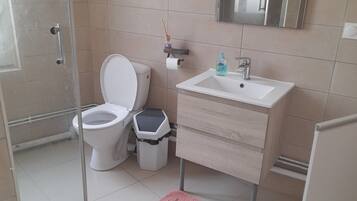 Een haardroger, handdoeken, zeep, toiletpapier