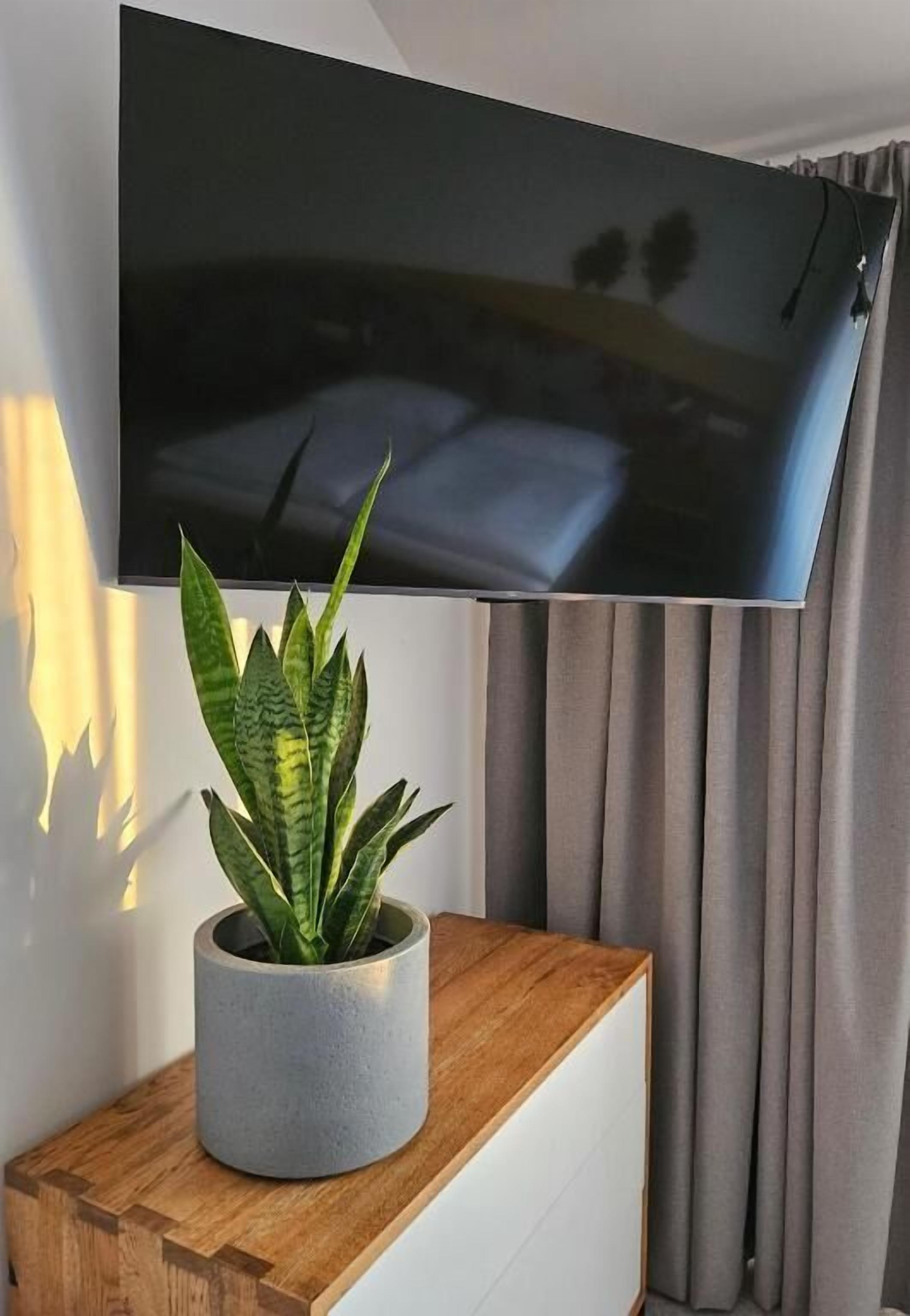 Televisão de tela plana presa na parede, planta em vaso sobre um console de madeira e uma janela com cortinas.