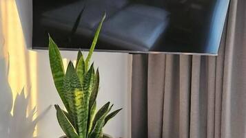 Televisão de tela plana presa na parede, planta em vaso sobre um console de madeira e uma janela com cortinas.