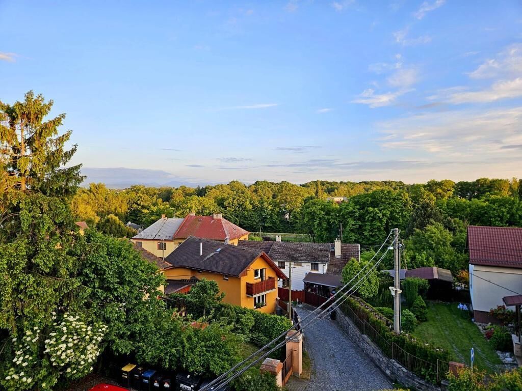 A residential area with houses, a cobblestone path, and a clear sky.