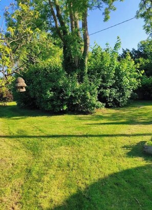 A well-maintained grassy area with a large tree and a thatched structure. - The Enchanted Cottage (Saint-Christophe-sur-Condé)